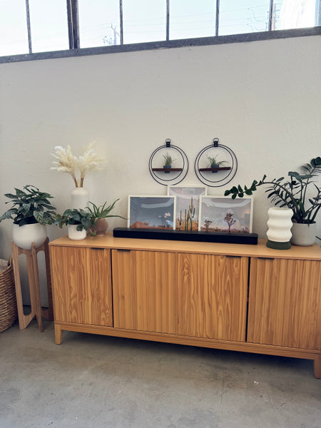 plant-shelf-duo-dark-and-stormy-above-modern-scandi-console-table-braidandwood