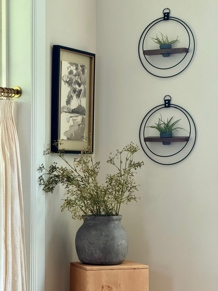 plant-shelf-duo-dark-and-stormy-in-moody-dining-room-braidandwood