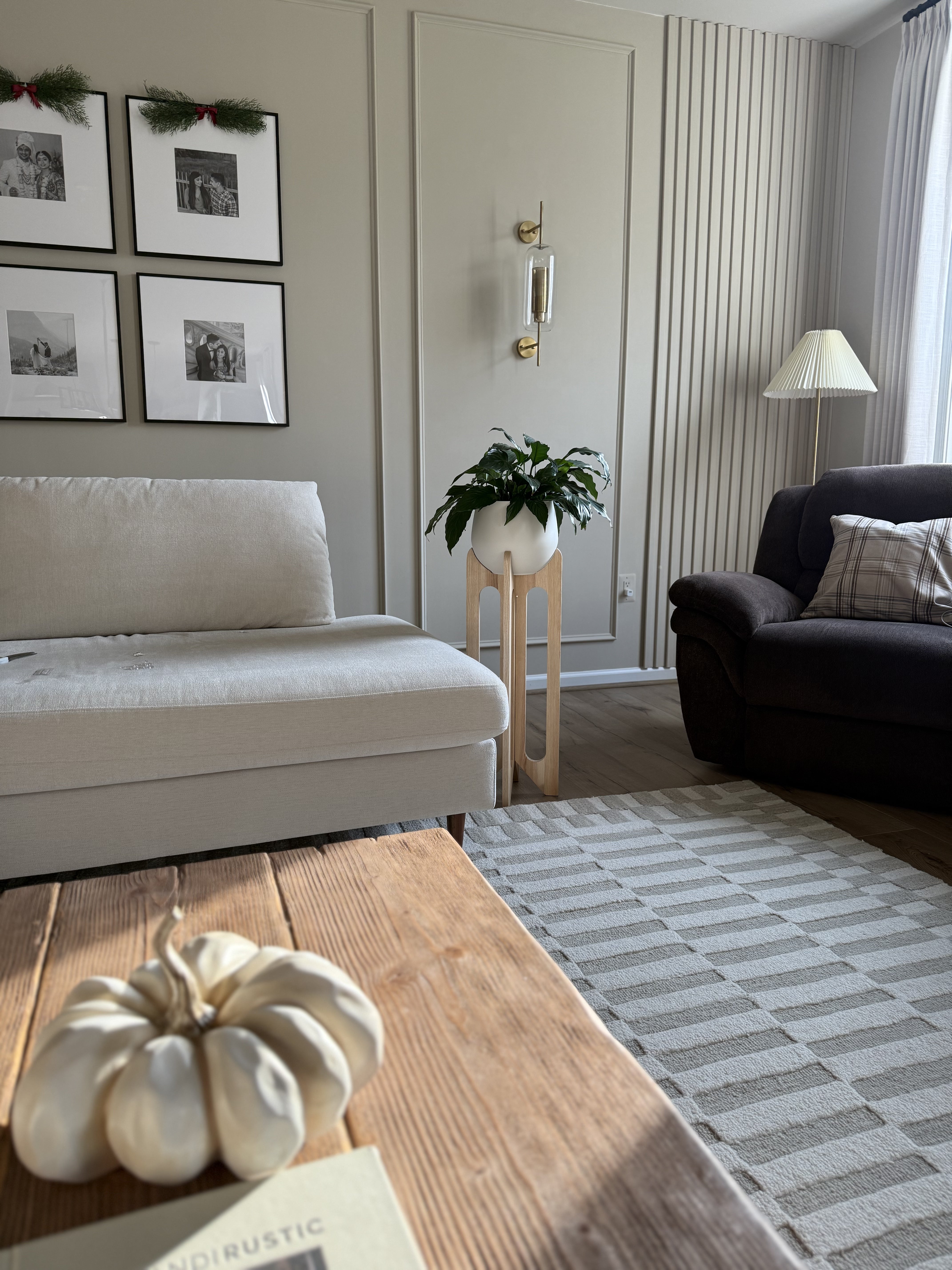 arches-plant-stand-contemporary-living-room-houseplants-braidandwood