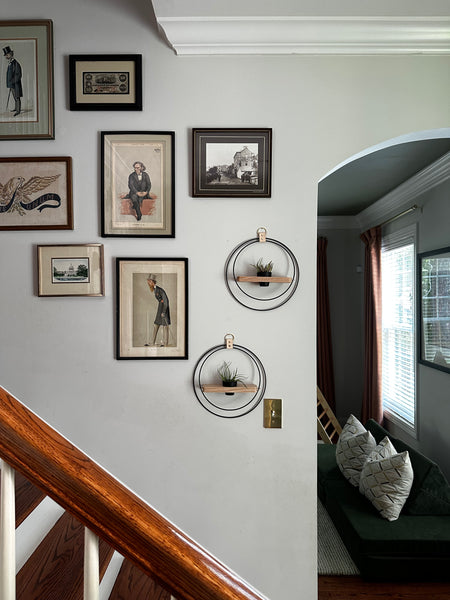 plant-shelf-duo-mixed-metal-framed-art-in-stairwell-braidandwood