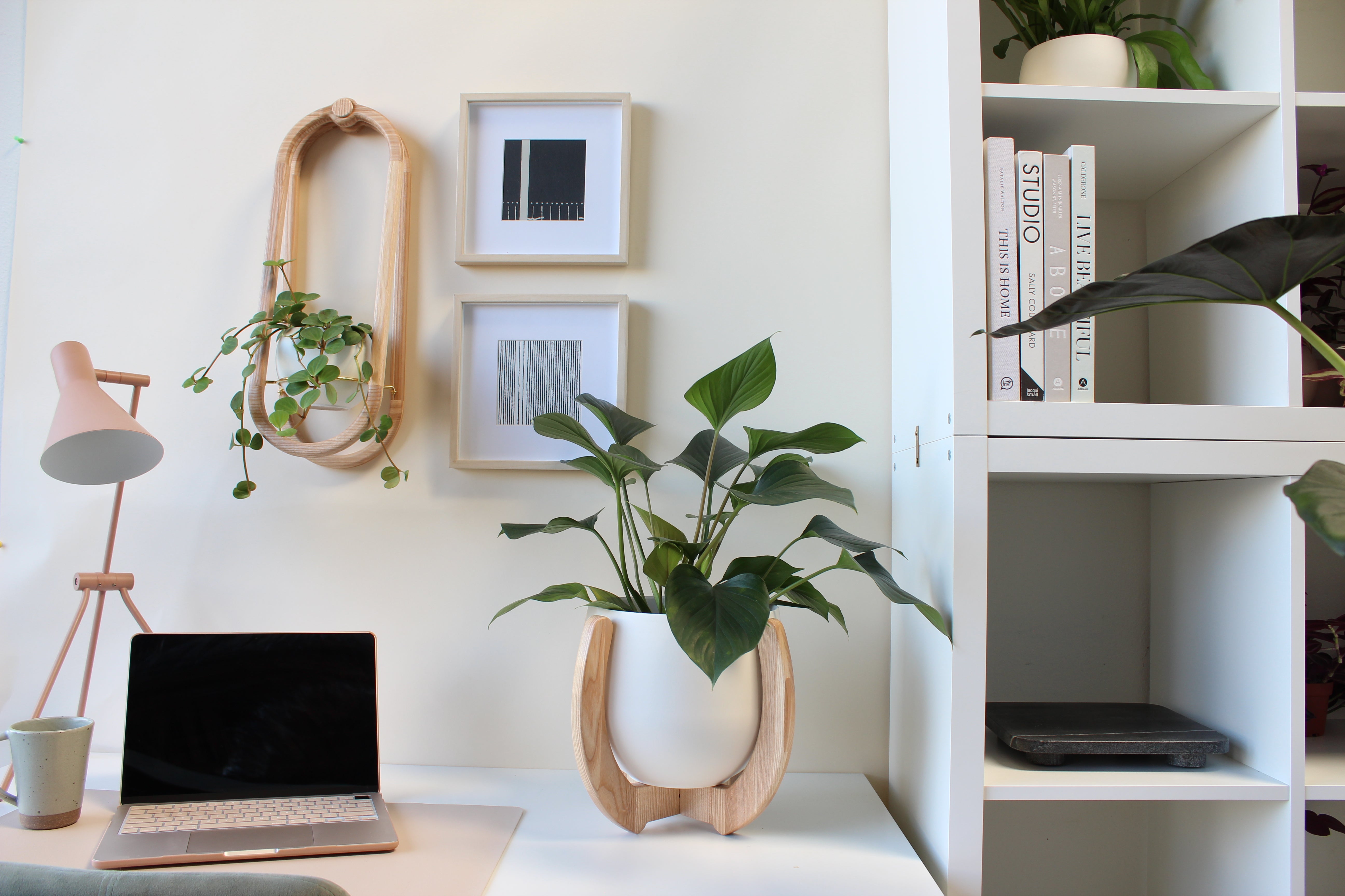 nested-plant-stand-frame-wall-planter-modern-office-decor-braidandwood