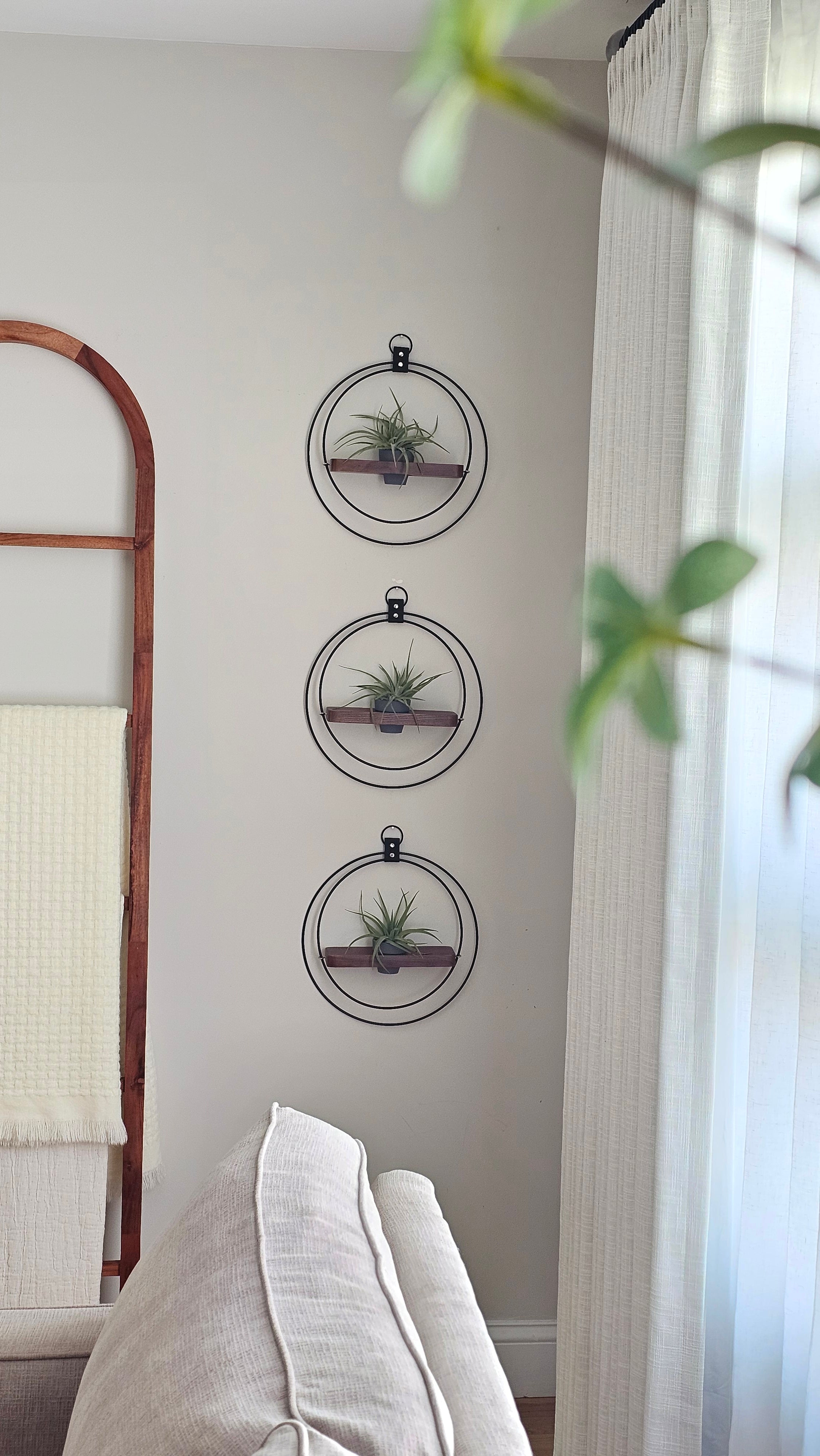 plant-shelf-trio-dark-and-stormy-modern-living-room-braidandwood