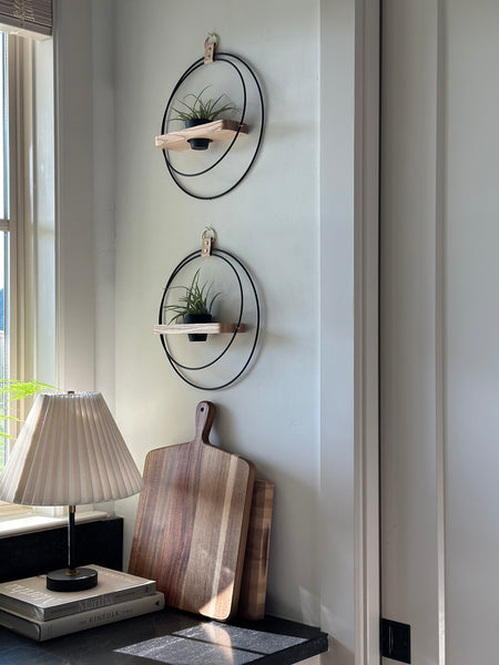 plant-shelf-duo-in-modern-kitchen-braidandwood