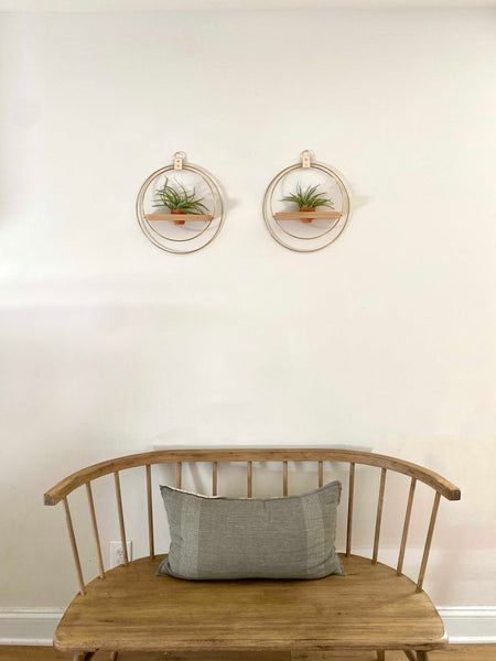 air-plant-shelf-duo-above-bench-in-kitchen-braidandwood