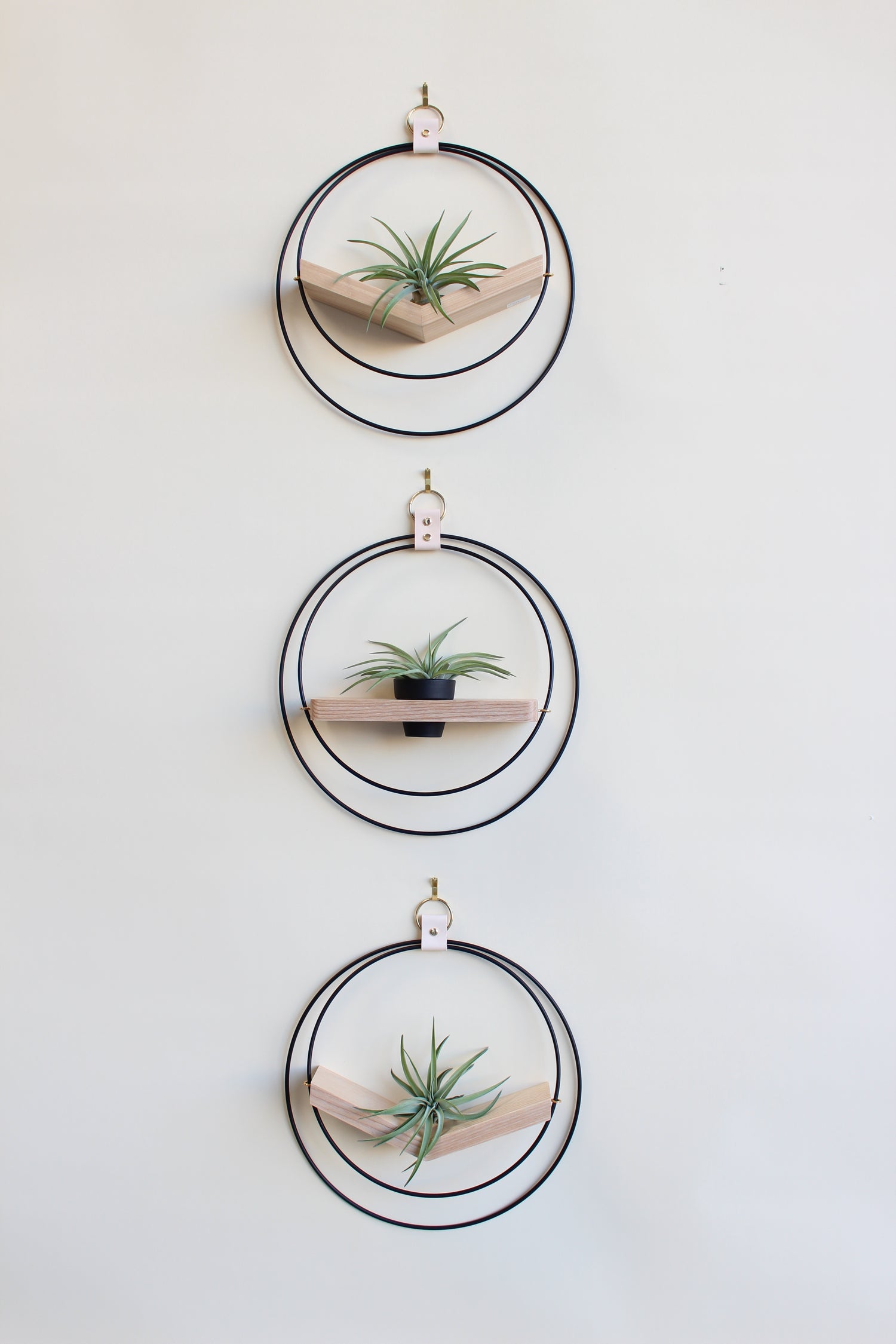 Air Plant V-Hanger &amp; Shelf Mixed Trio