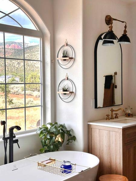 plant-shelf-duo-mixed-metal-modern-primary-bathroom-braidandwood