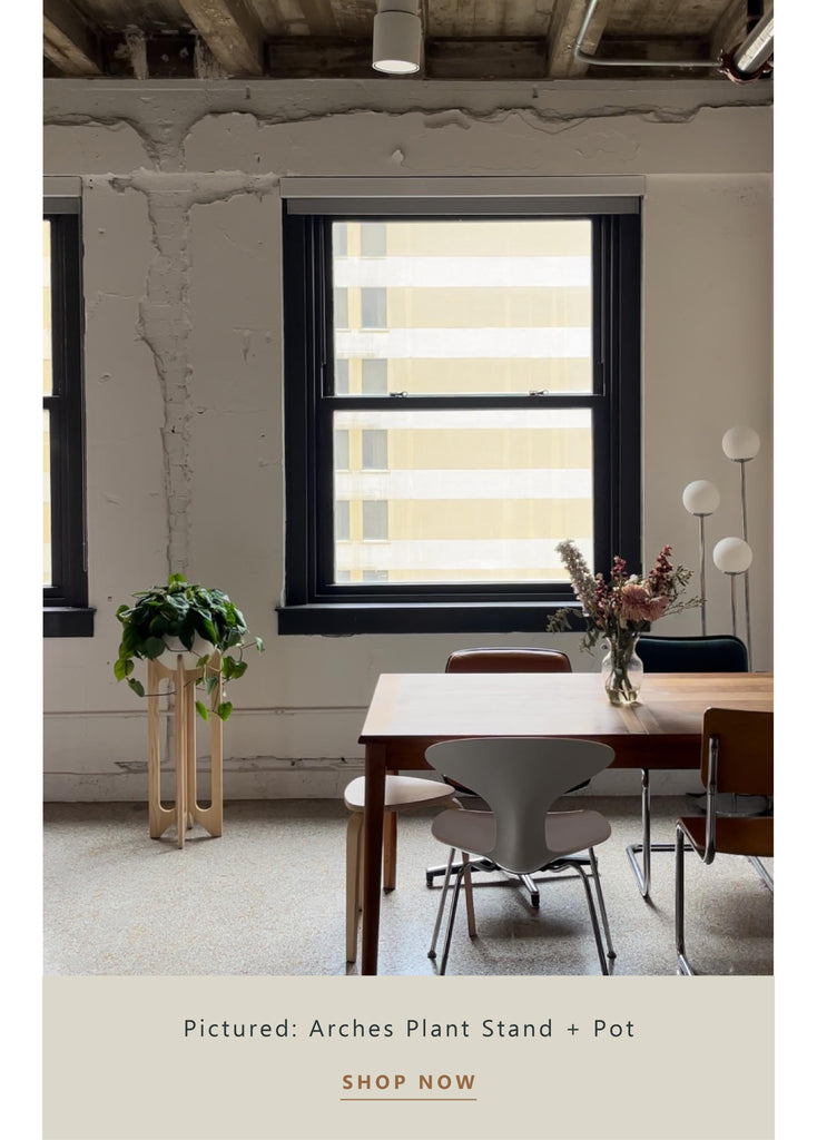 arches-nested-plant-stand-in-a-modern-dining-room-braidandwood