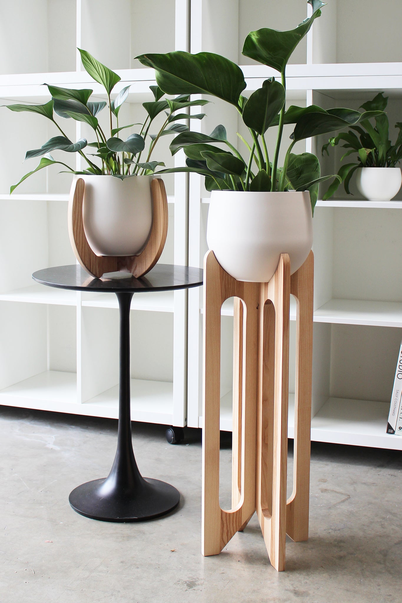 modern tall wood plant stands styled with white spun aluminum pots and houseplants against tall white bookcase