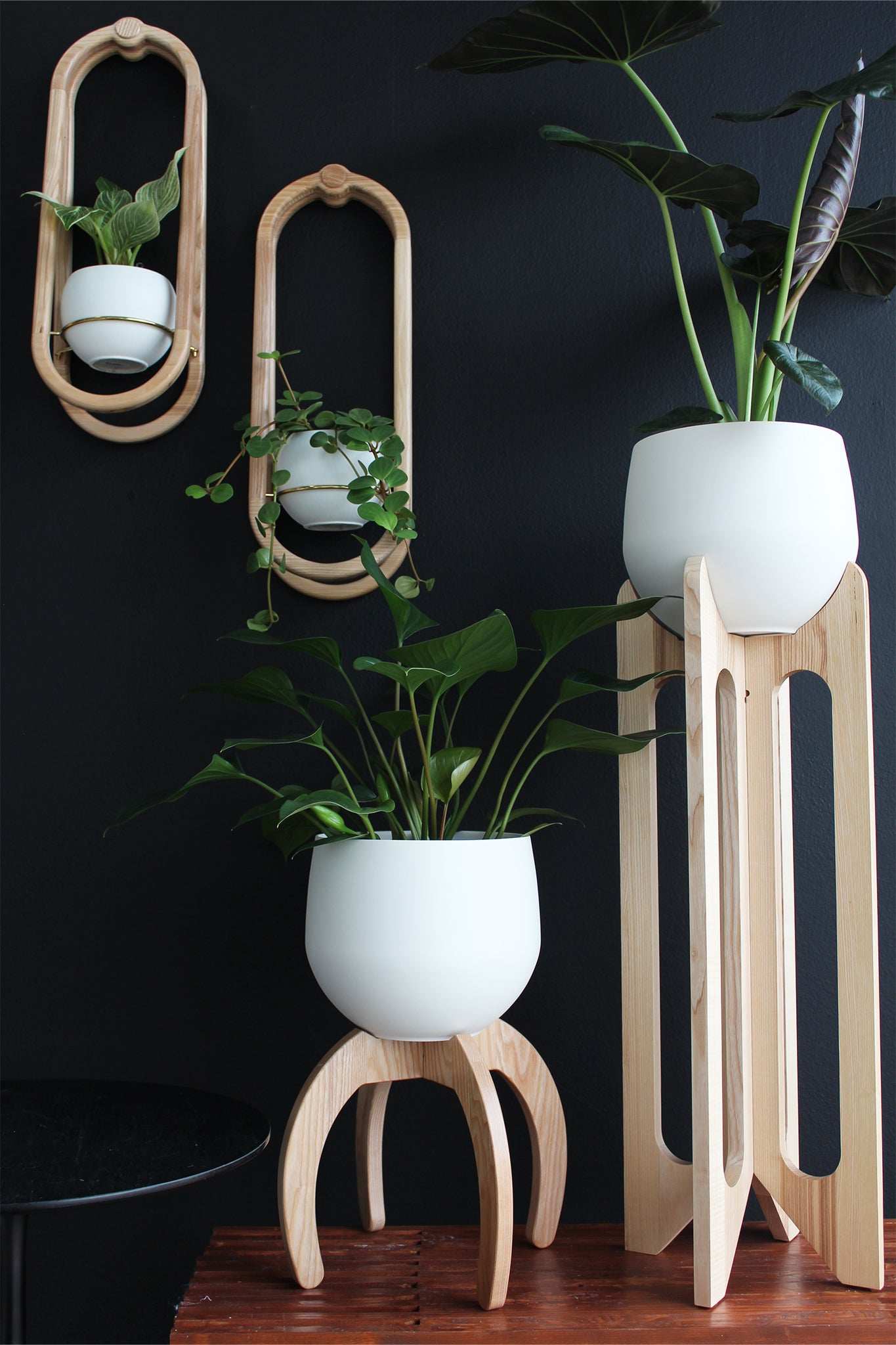 modern wood plant stands against dark moody wall styled with houseplants