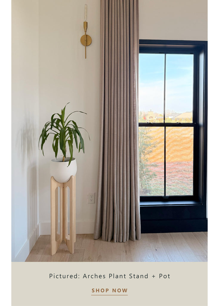 arches-plant-stand-in-a-modern-eclectic-dining-room-braidandwood