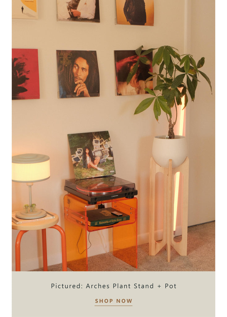 arches-plant-stand-styled-in-modern-dining-room-braidandwood