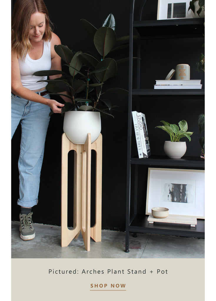 arches-plant-stand-styled-next-to-modern-bookcase-braidandwood