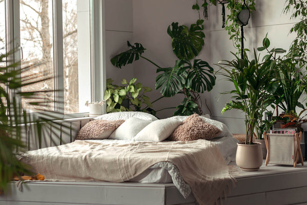 boho style bedroom with a variety of indoor plants