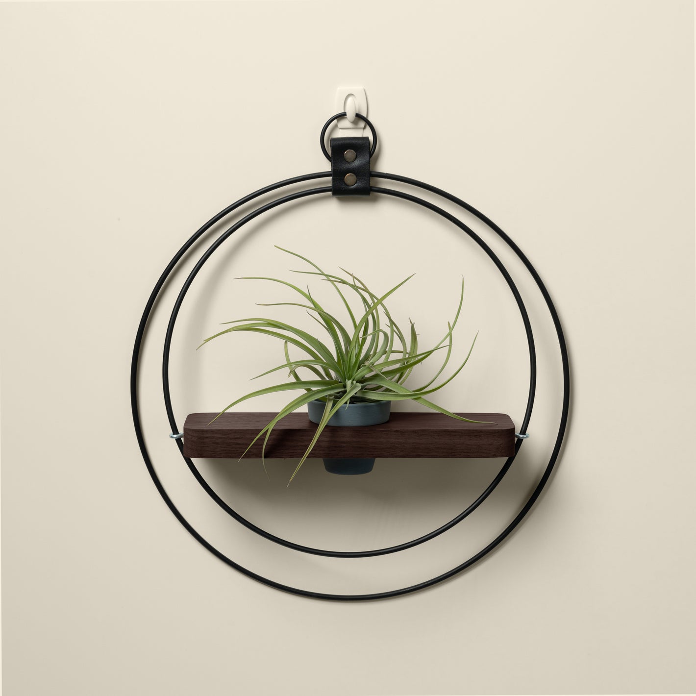 Kandis Cottage dark & stormy plant shelf with air plant