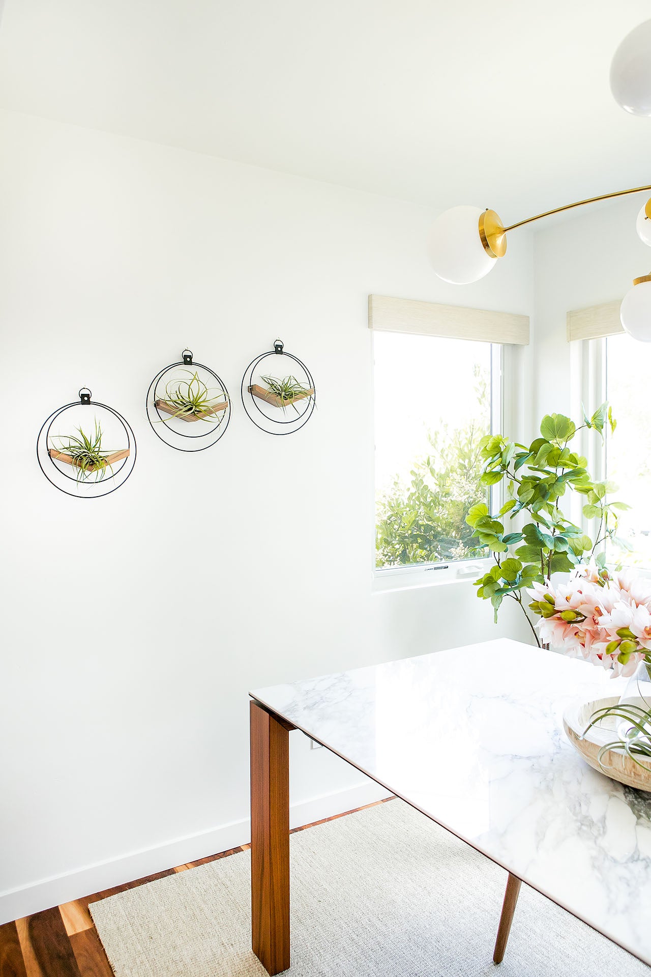 air plant holders from Kandis Cottage styled on white wall in modern dining room
