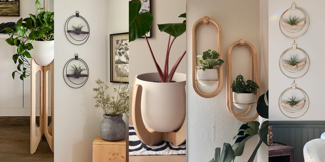 three modern black and walnut air plant holders by Kandis Cottage styled in modern living room