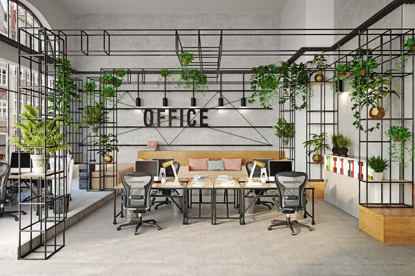 modern office styled with plants