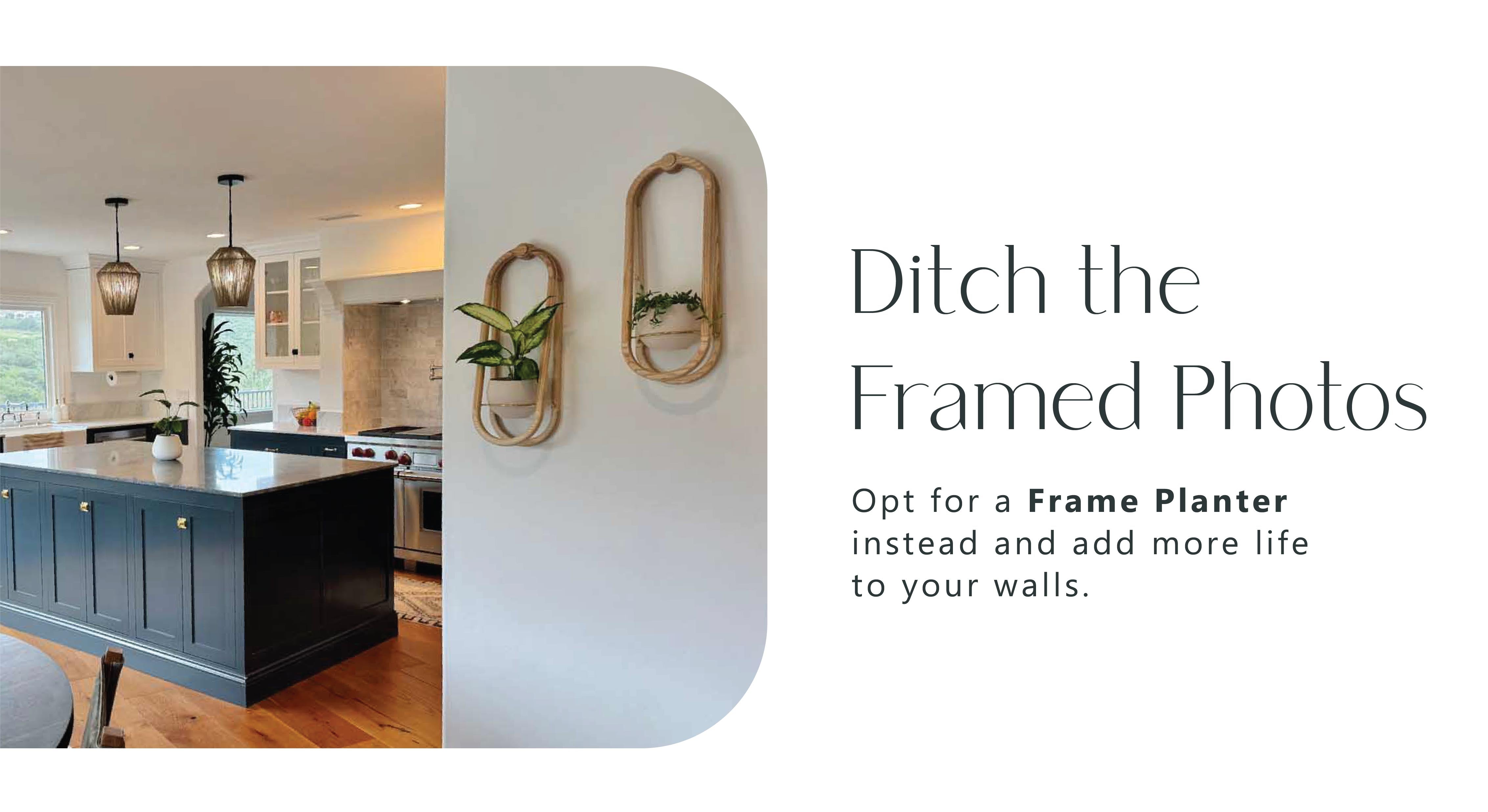 frame-wall-planter-duo-modern-kitchen-with-houseplants-braidandwood
