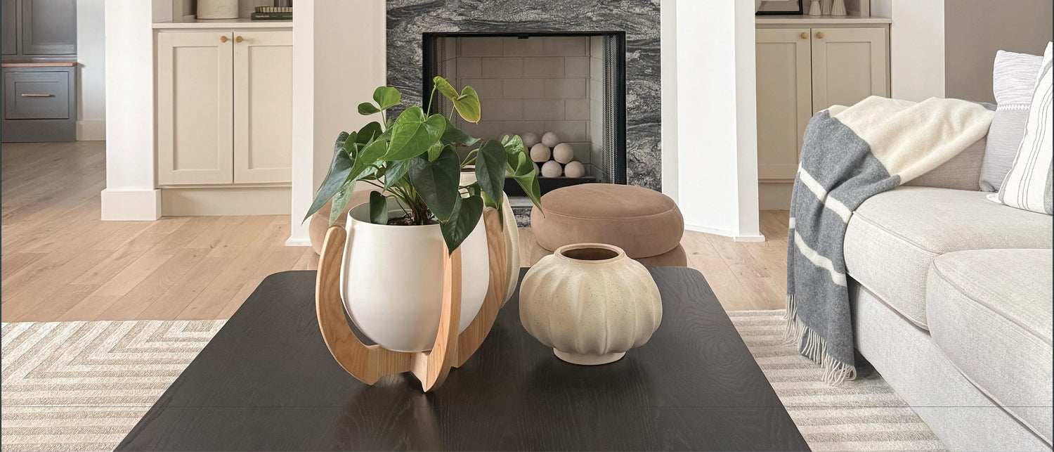 plant stand sitting on modern coffee table in living room