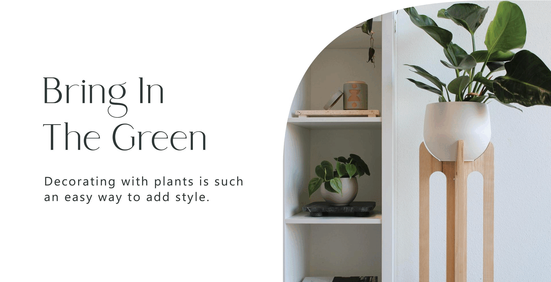 arches-plant-stand0next-to-bookshelf-braidandwood