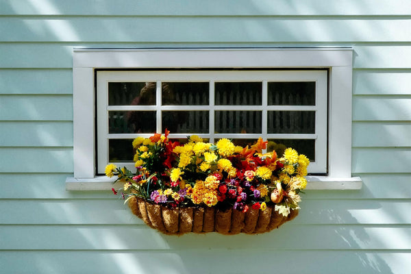 colorful flowers in a hanging basket outside of a window