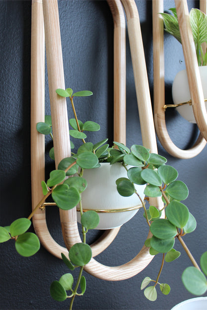close up of frame wall planter + pot by braid &amp; wood