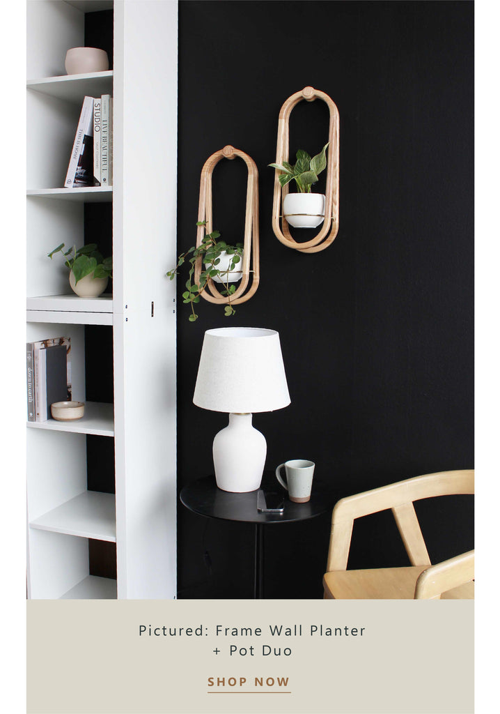 frame-wall-planter-duo-styled-above-sidetable-in-hallway-braidandwood