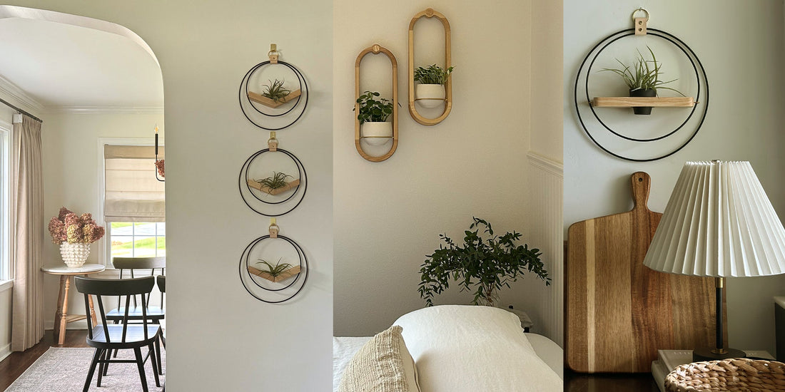 Wall Planters