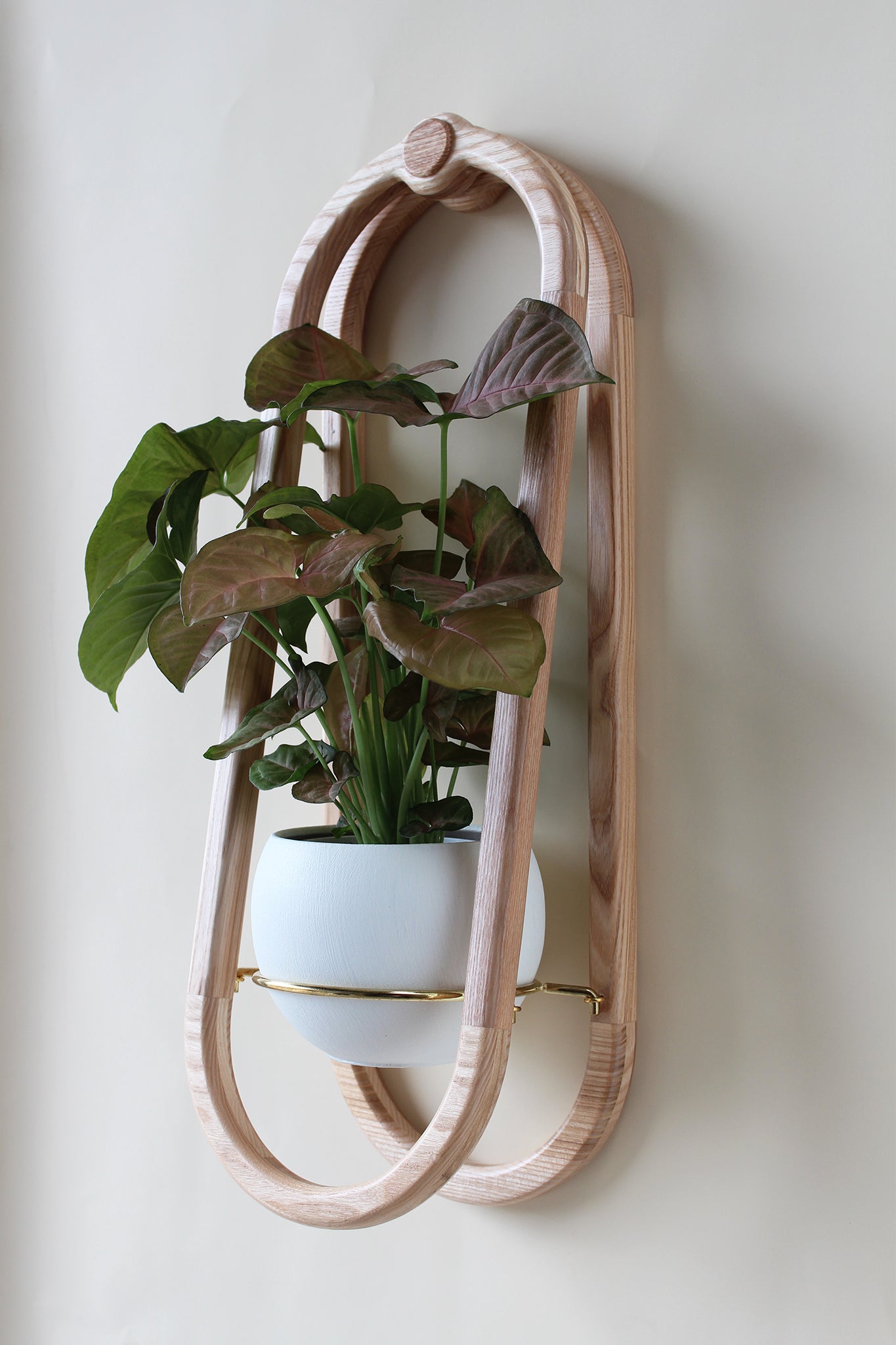 modern scandi inspired obround wall mounted planter with with colored pot and houseplant