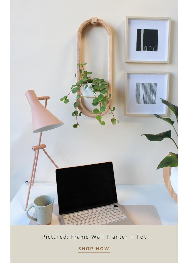 frame-wall-planter-styled-above-desk-workspace-braidandwood