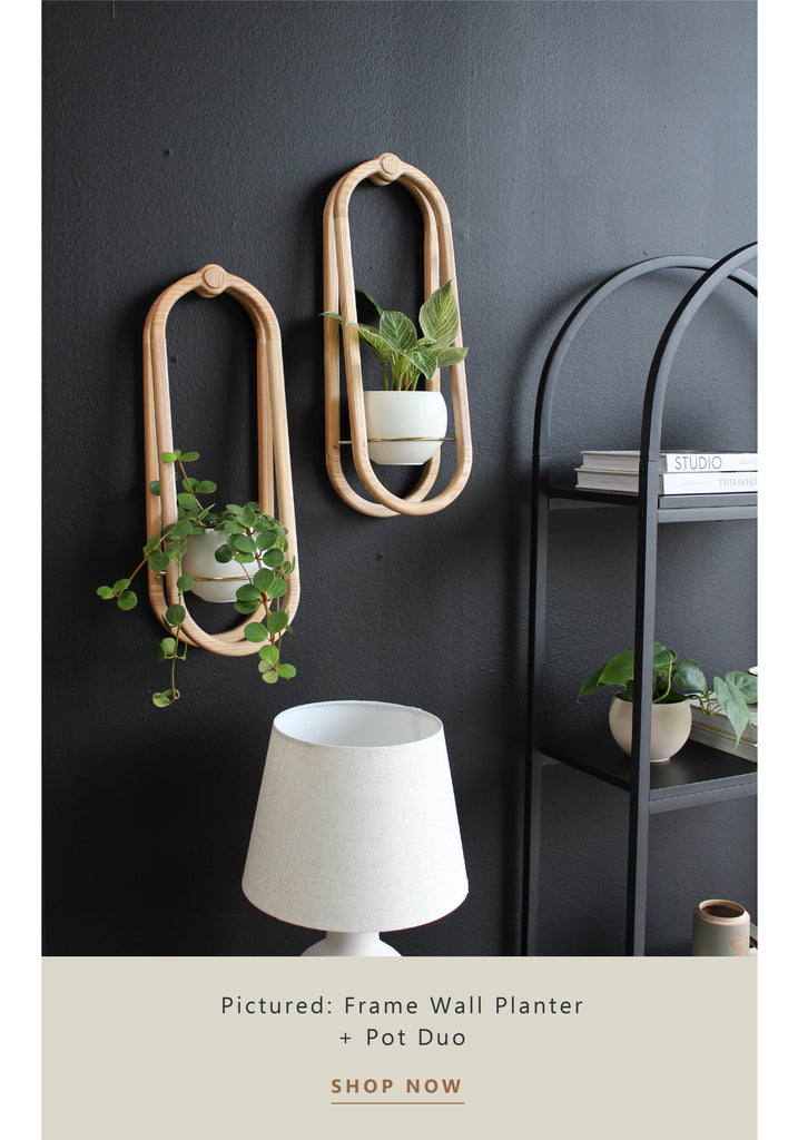 frame-wall-planter-styled-next-to-modern-bookshelf-braidandwood