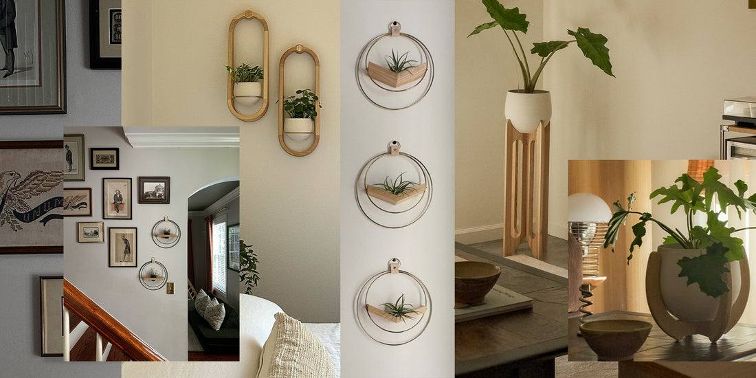 three wall mounted air plant hangers by Kandis Cottage styled against white wall