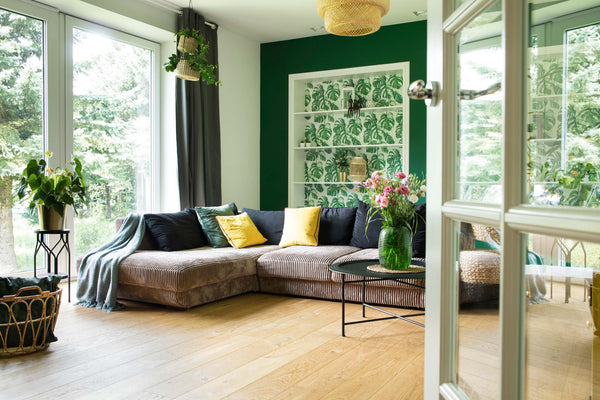 Plants arranged in modern living room