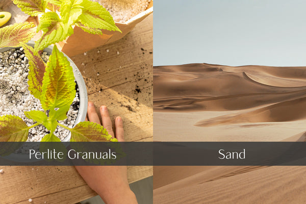 perlite granules in potted houseplant with hand holding some and sand dune