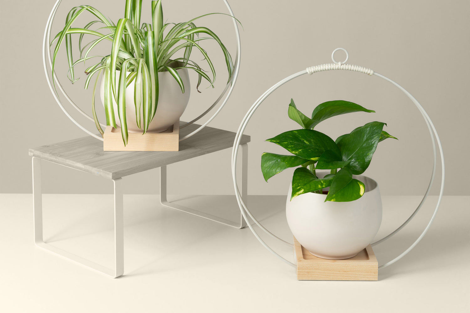 modern hanging planters by Kandis Cottage