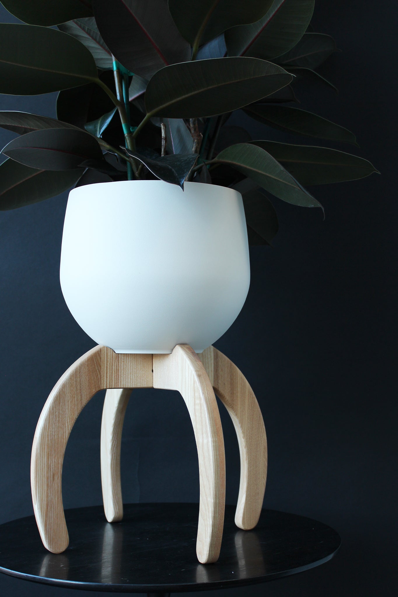 pretty modern white aluminum pot placed on a solid hardwood curved plant stand