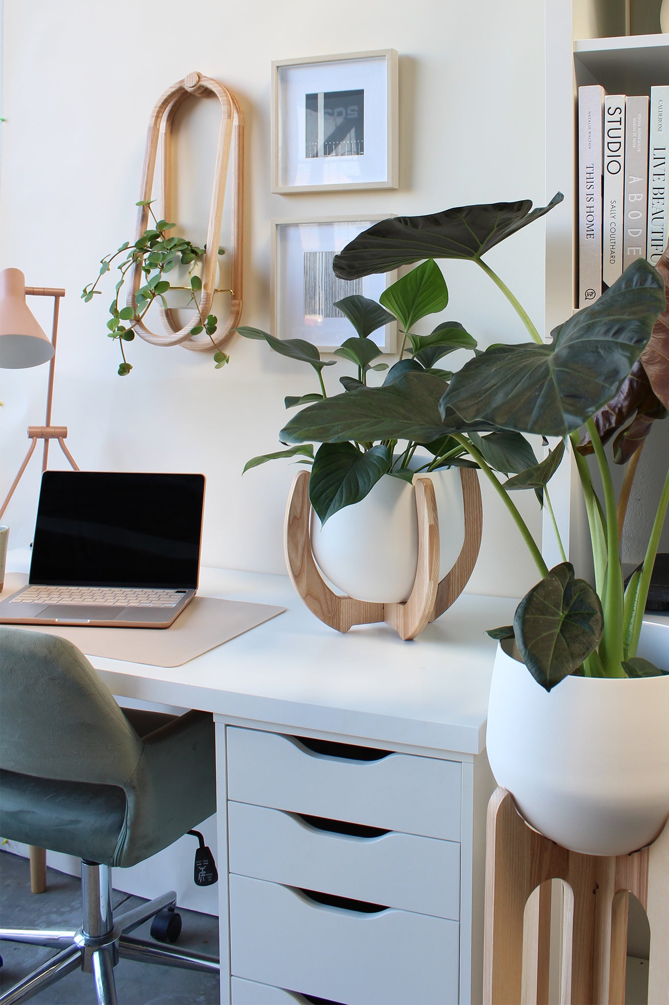 neutral home office space decorated with houseplants and Kandis Cottage plant stands