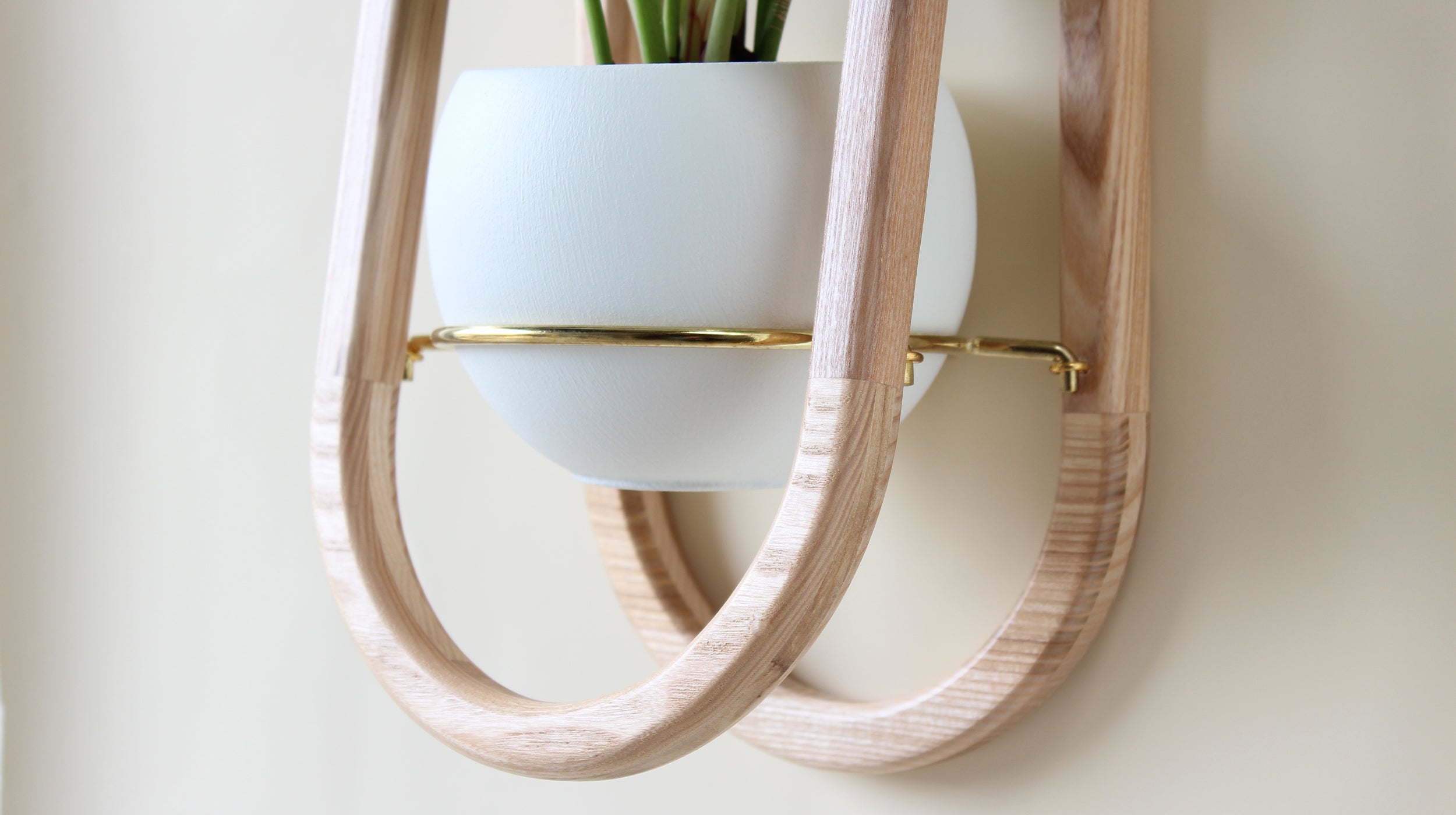 close up view of a modern wall planter made of solid ash hardwood with a gold ring holding a spun aluminum pot