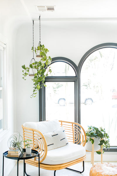 modern white living room with arched windows and hanging plants