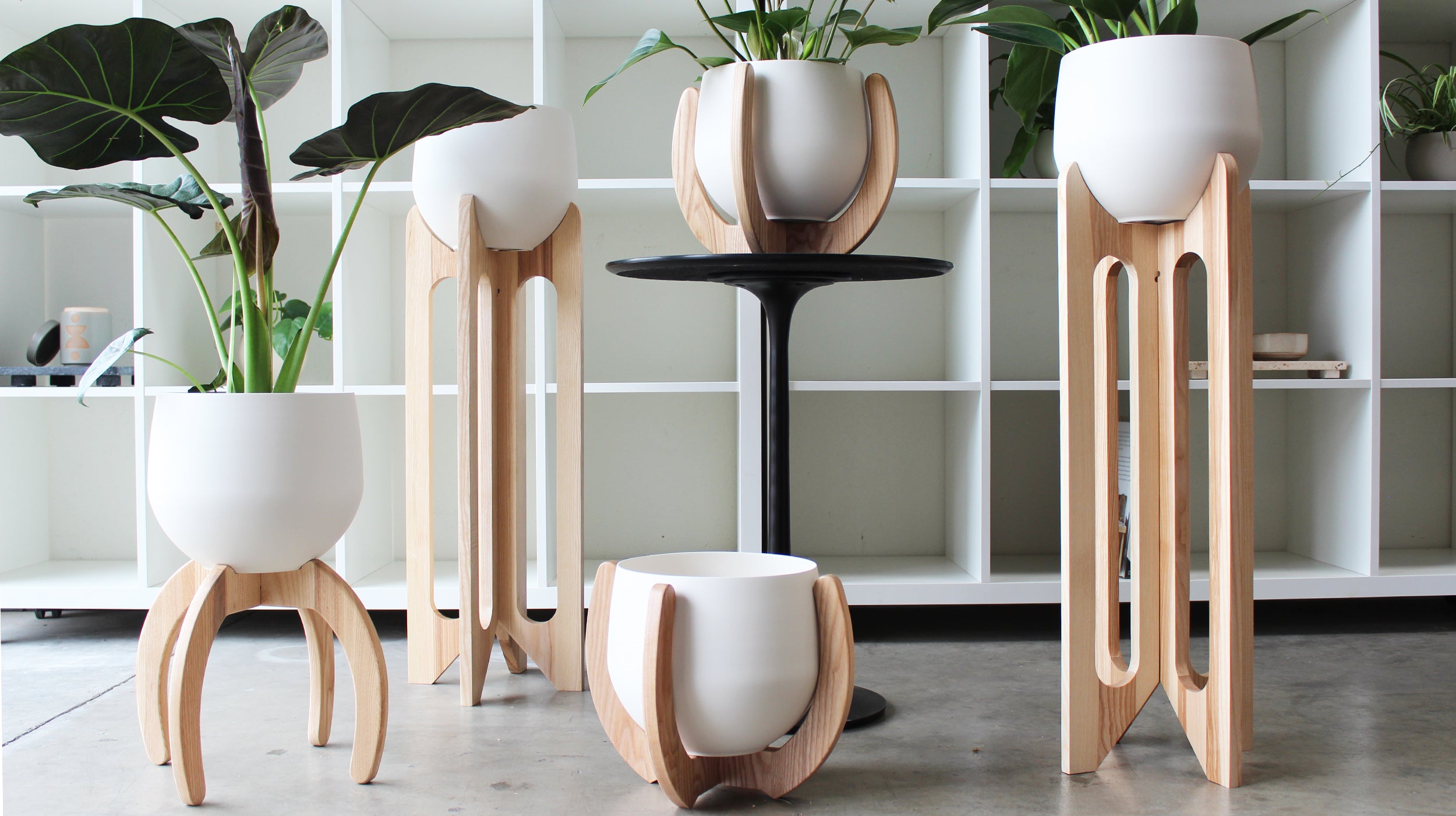 collection of five modern plant stands made of solid white ash hardwood with aluminum pots 