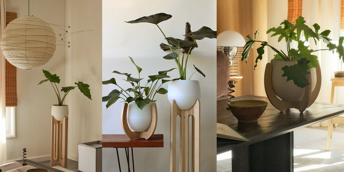 Plant Stands