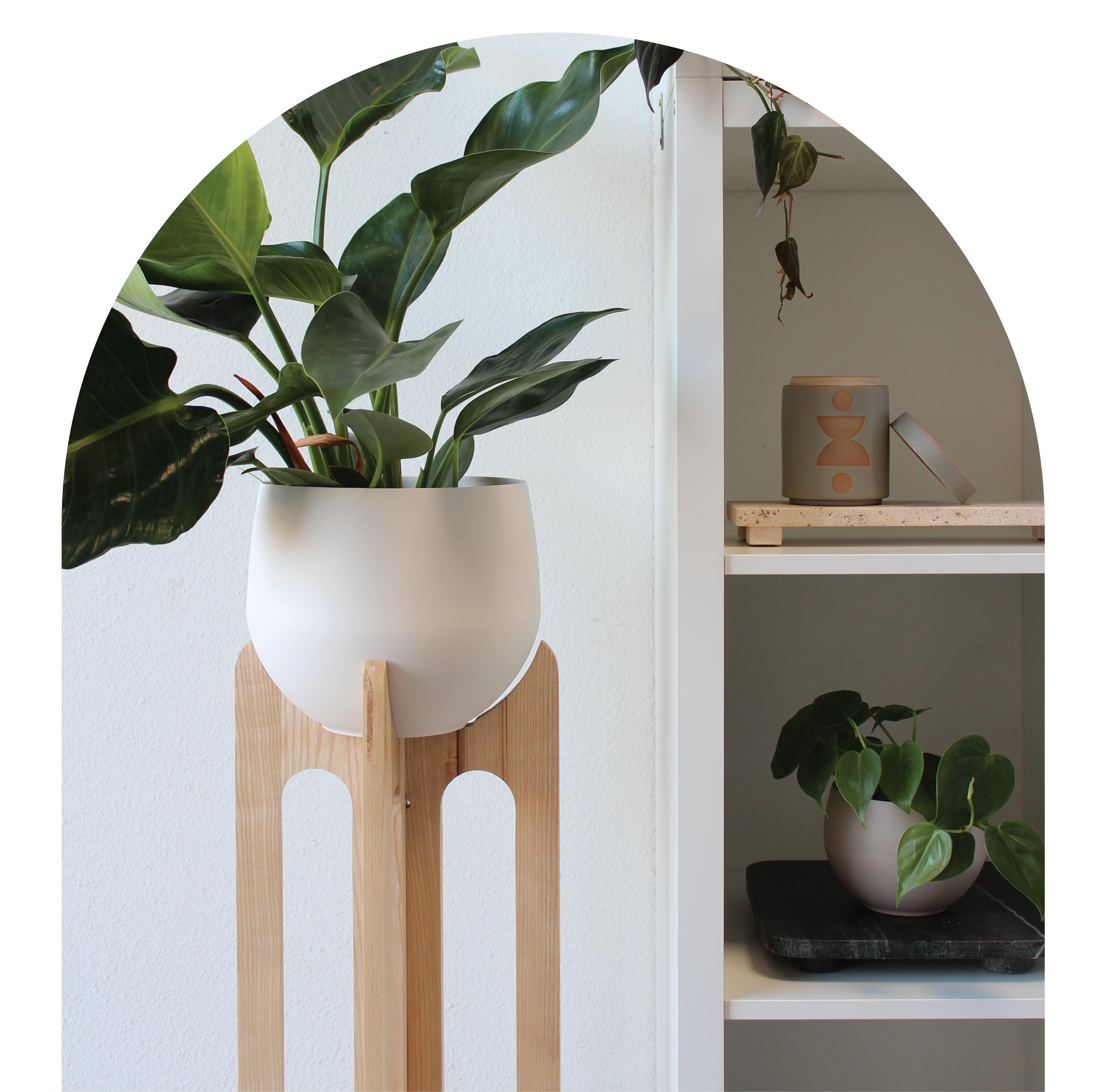 arches-plant-stand-modern-bookshelf-braidandwood