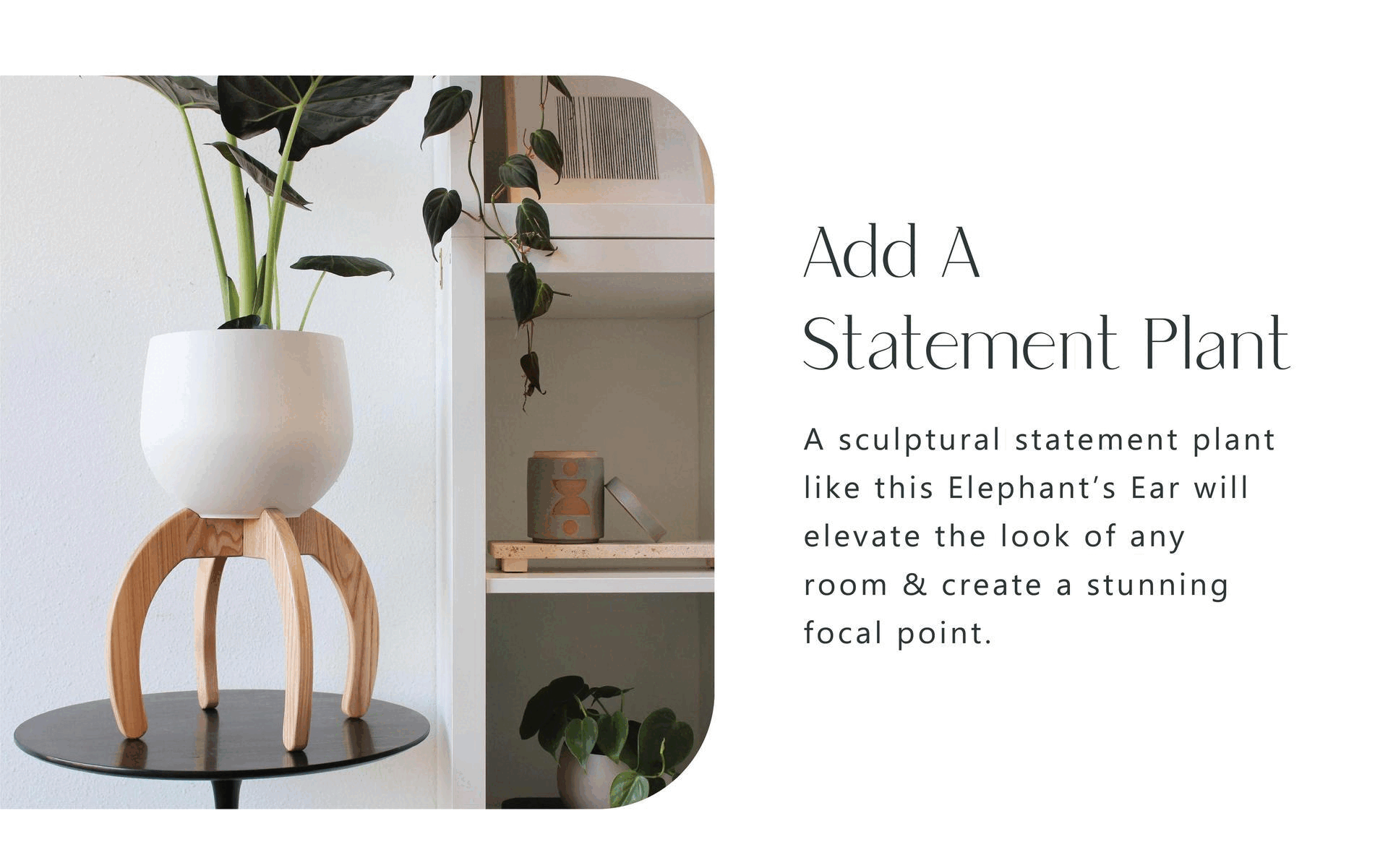 nested-plant-stand-modern-bookshelf-braidandwood