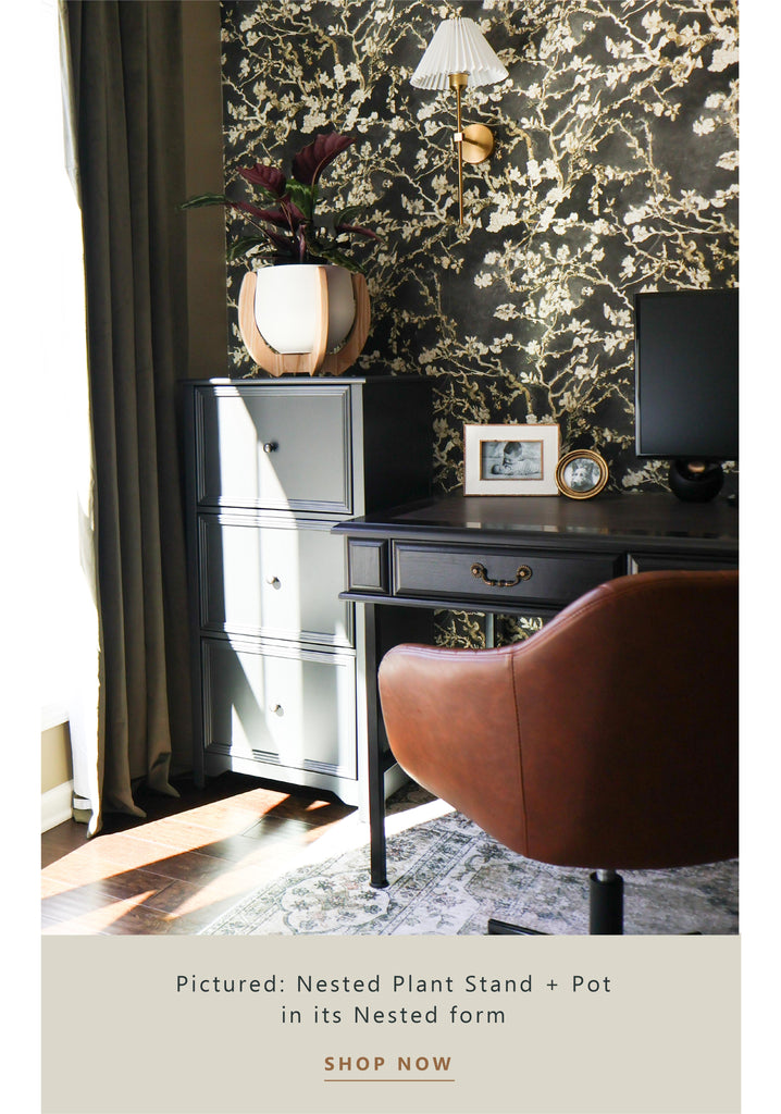 nested-plant-stand-on-a-file-cabinet-braidandwood