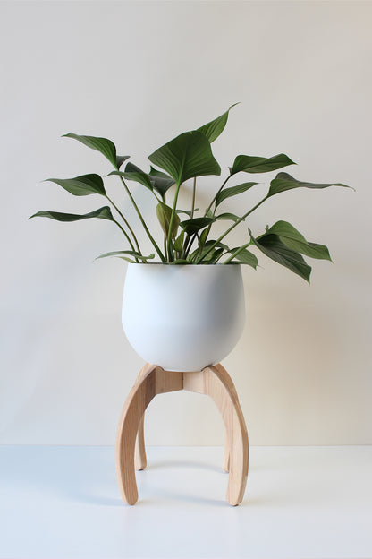 A white ash wood nested plant stand with a spun aluminum pot, with a green potted plant, placed on a white background.