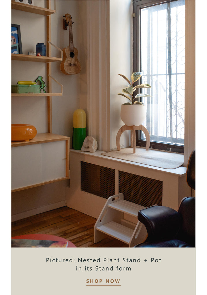 nested-plant-stand-styled-in-bay-window-seat-braidandwood