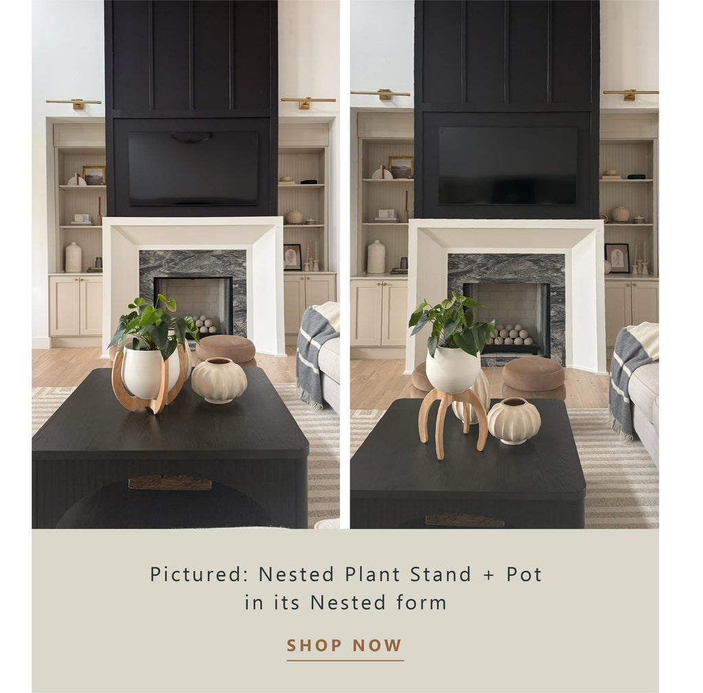 nested-plant-stand-styled-on-a-coffee-table-in-a-modern-living-room-braidandwood