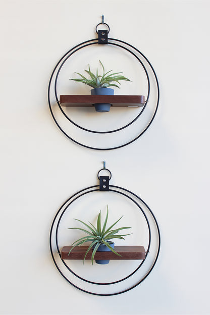 modern wall mounted matte black plant shelf and walnut wood for air plants