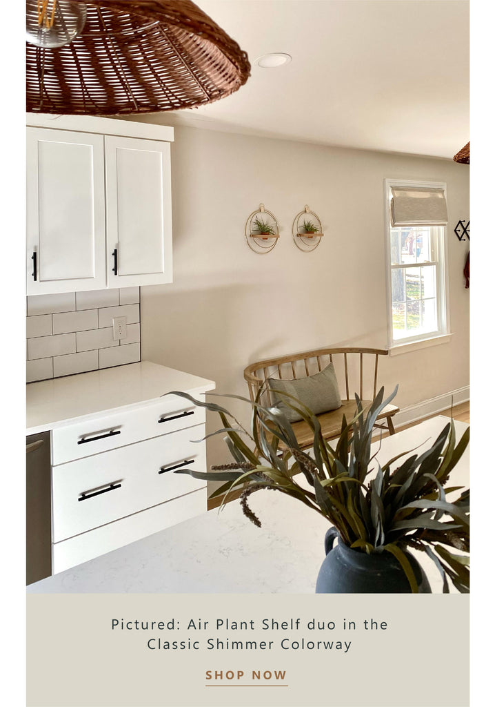 plant-shelf-duo-hung-in-the-kitchen-braidandwood