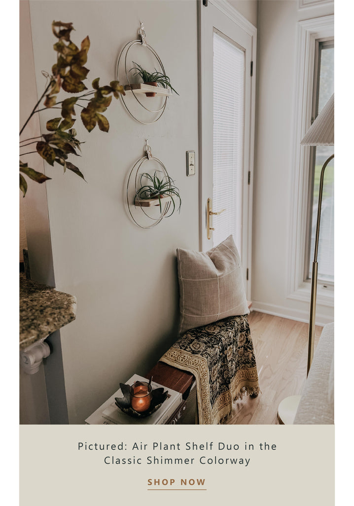 plant-shelf-duo-styled-in-entryway-braidandwood
